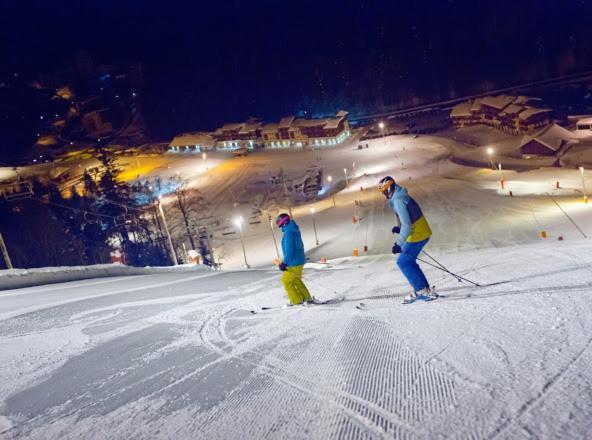 Le Diamant Nathalie Mn La Rouge Chalet La Bresse