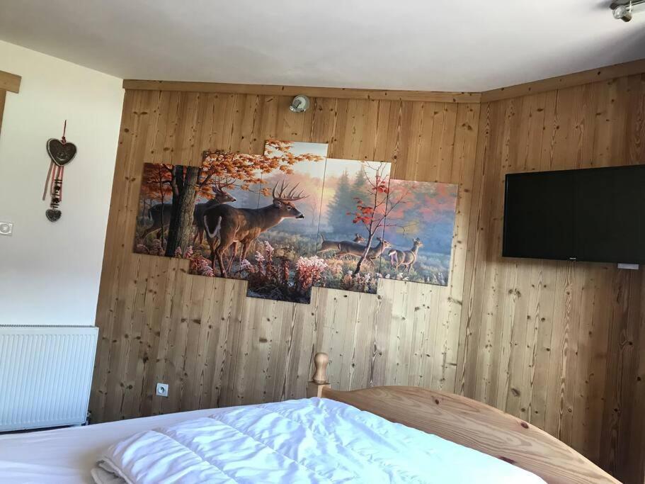 Chalet Le Diamant Nathalie Mn La Rouge *